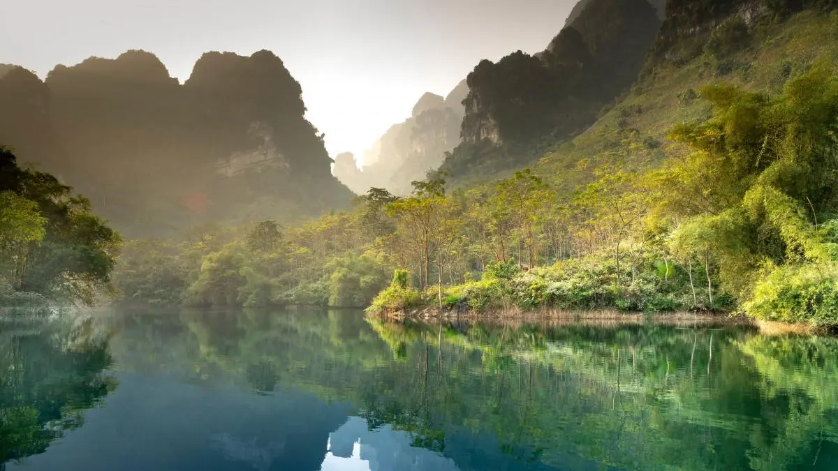 绿色稳定性可靠性